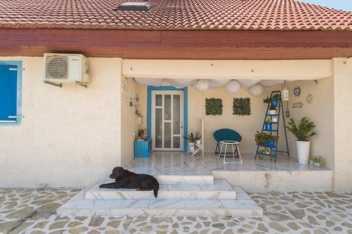 Vila Troia Vama Veche Exterior photo